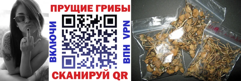 Галлюциногенные грибы мухоморы  ОМГ ОМГ как зайти  Ростов  как найти закладки 
