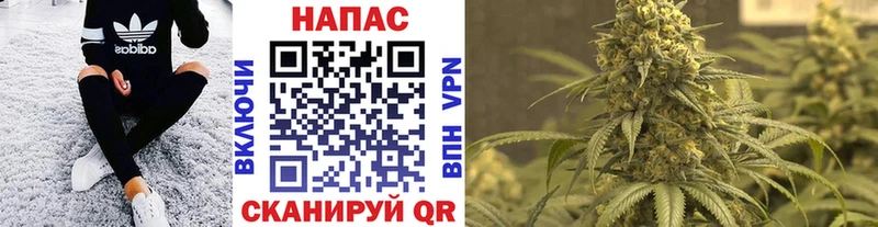 даркнет наркотические препараты  blacksprut ссылка  Ростов  Бошки марихуана тримм 